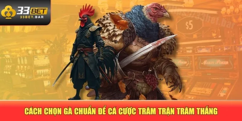 Cách chọn gà