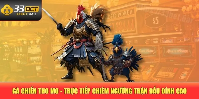 Gà chiến tho mo