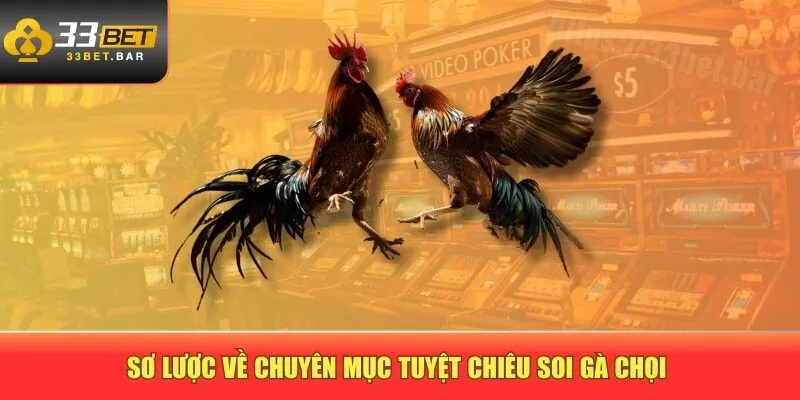 Sơ lược về chuyên mục tuyệt chiêu soi gà chọi 