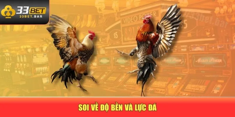 Soi về độ bền và lực đá