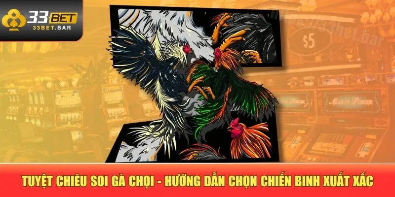 Tuyệt chiêu soi gà chọi